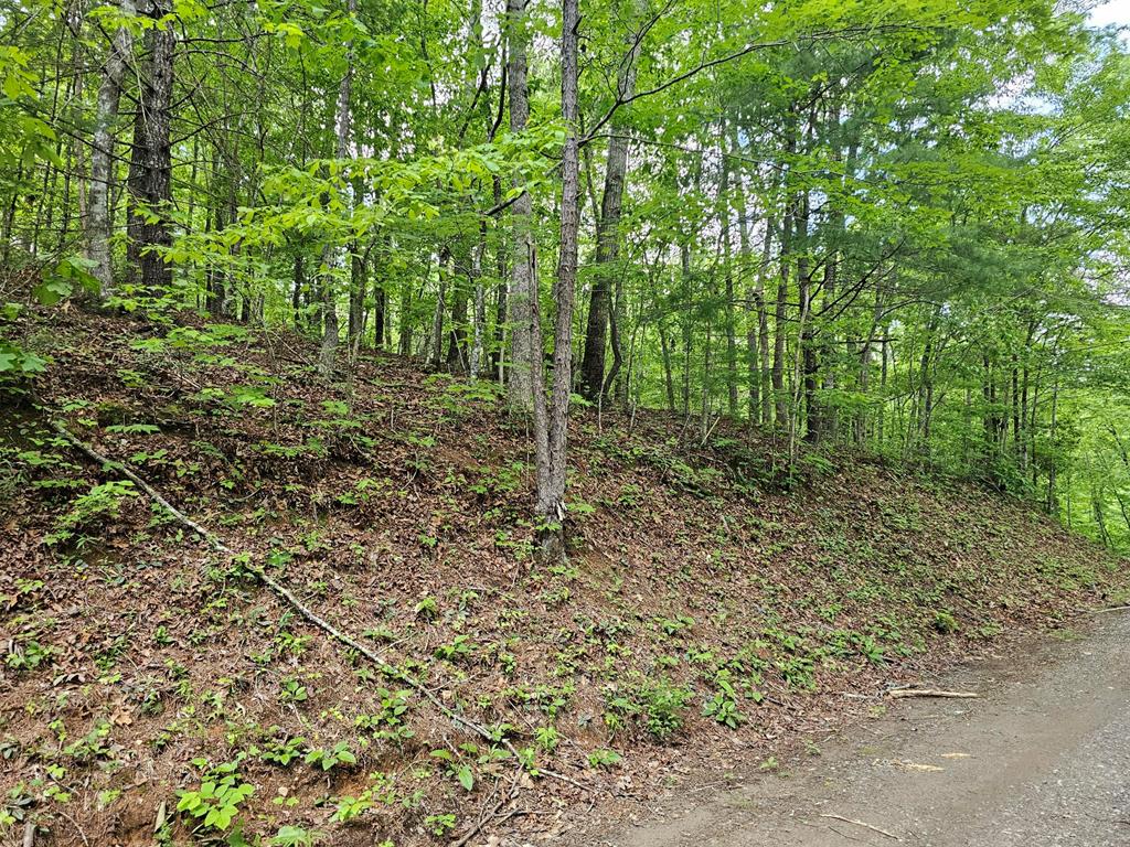 7 Whispering Pines Property Photo