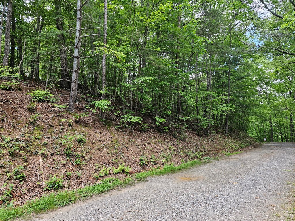 7 Whispering Pines Property Photo 3