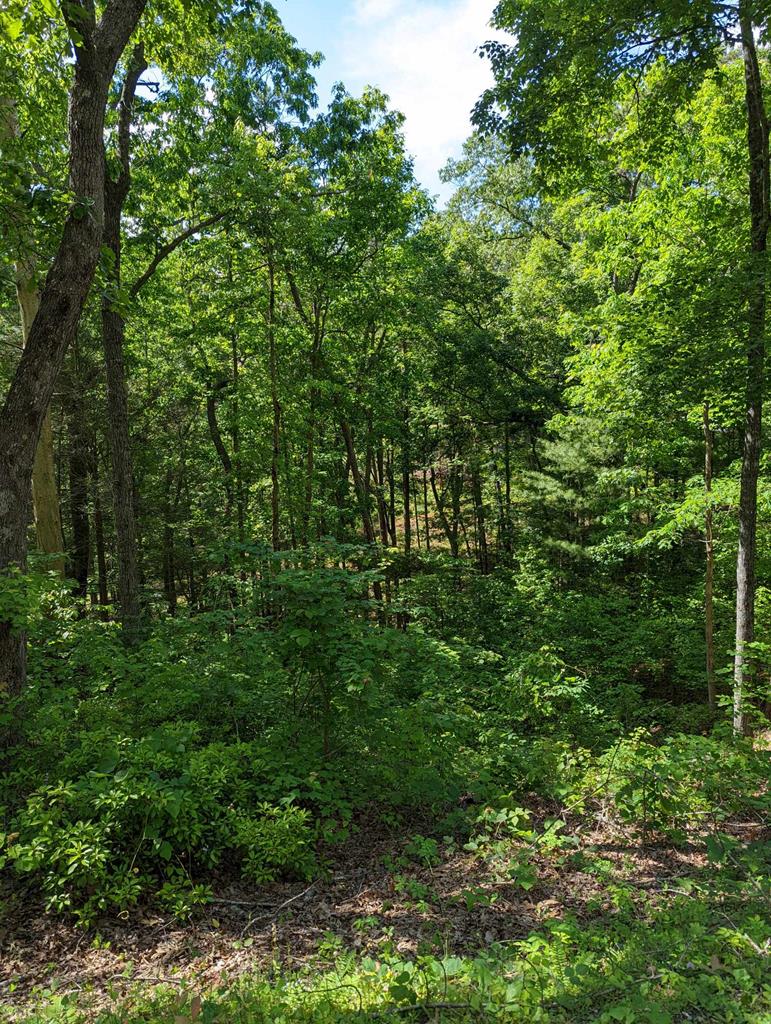 Lot 1&2 Highland Rd. Property Photo