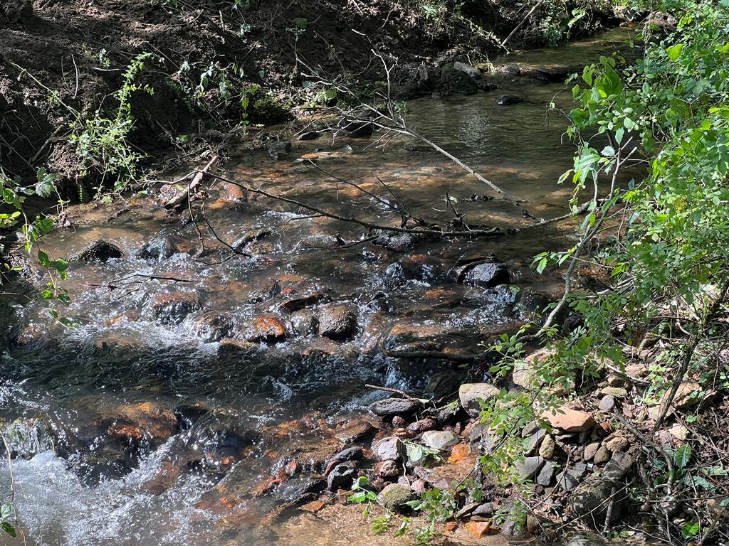 Lot 8 Collett Creek Rd Property Photo 1