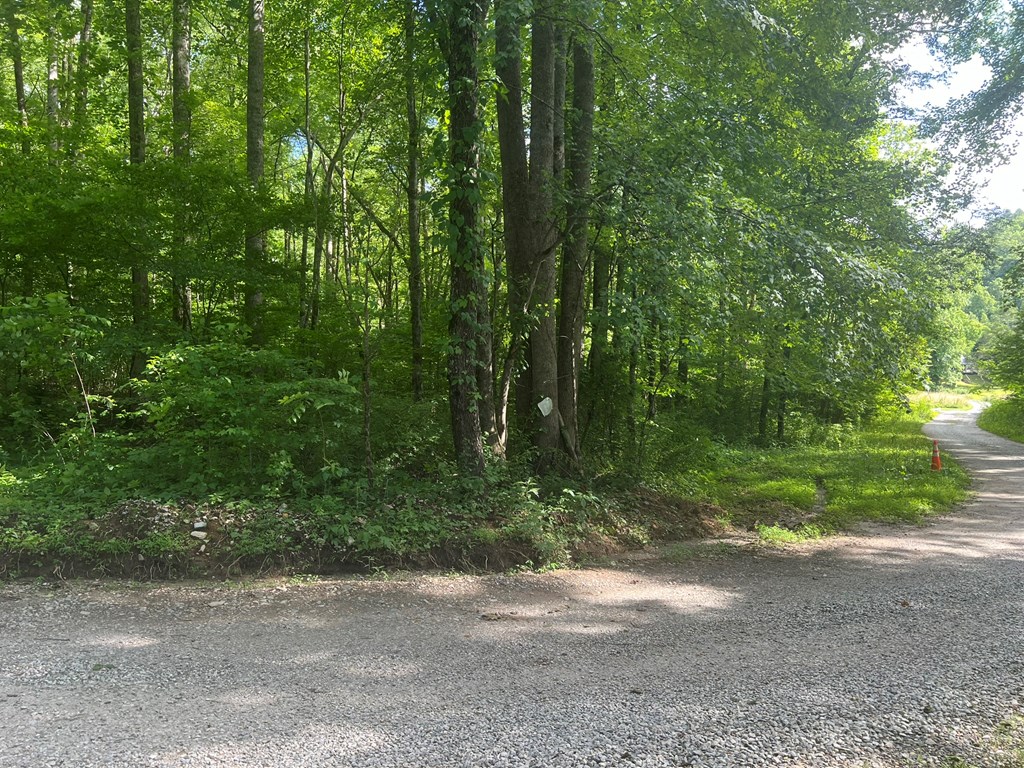 Lot 8 Collett Creek Rd Property Photo 5