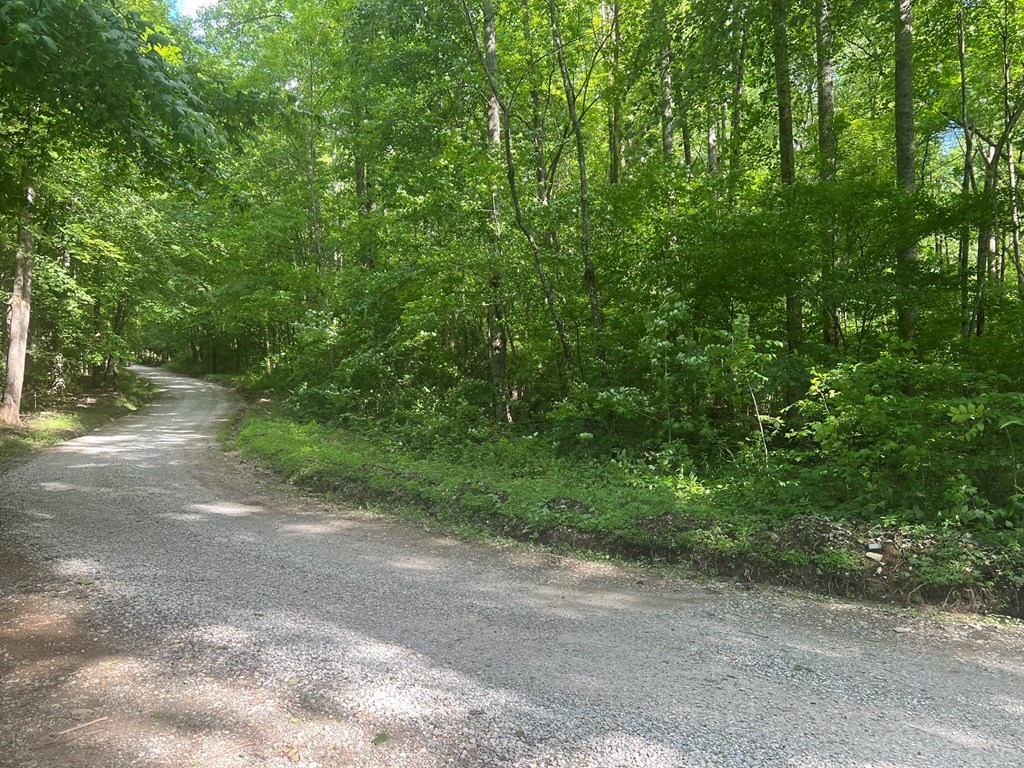 Lot 8 Collett Creek Rd Property Photo 6