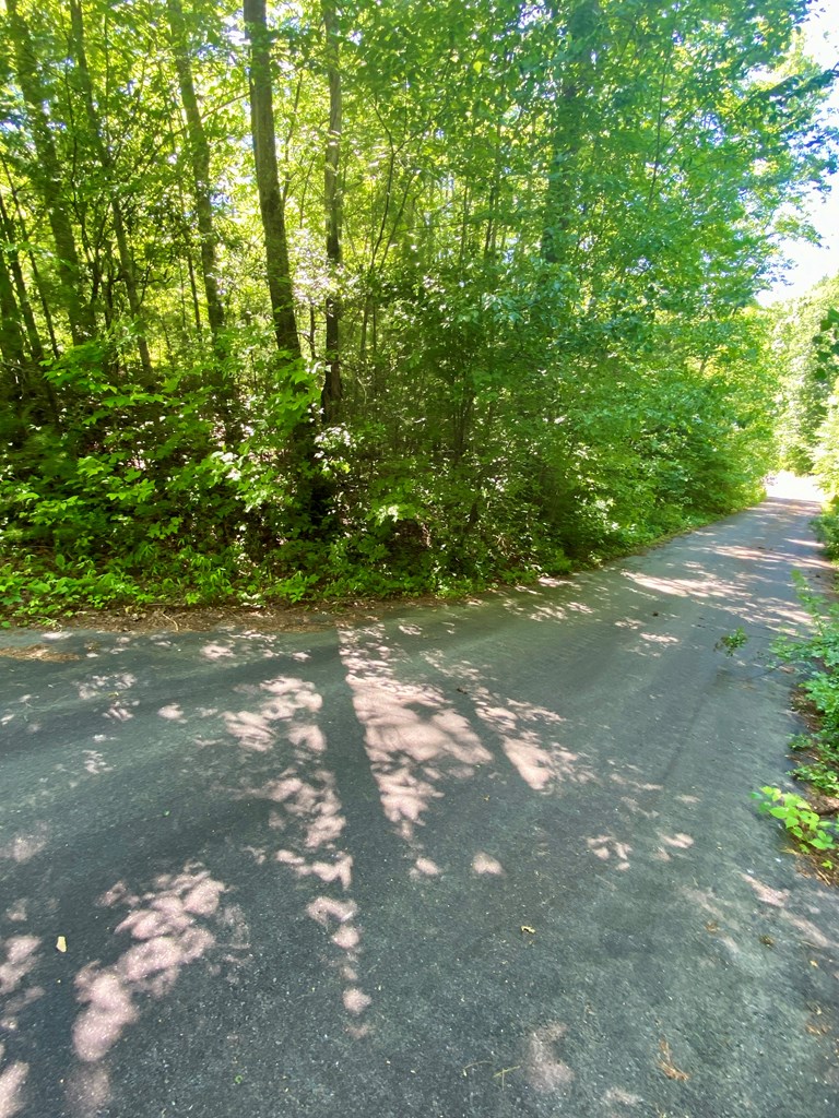 00 Deer Run - Lot 24 Property Photo 2