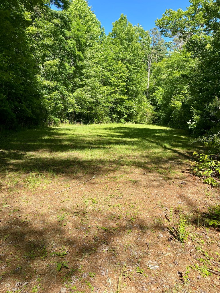 00 Deer Run - Lot 24 Property Photo 3