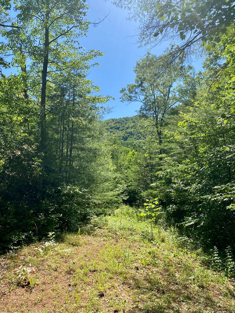 00 Deer Run - Lot 24 Property Photo 5