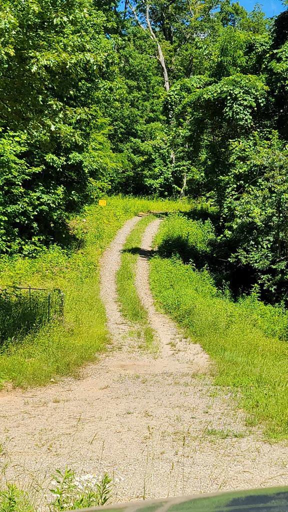 Lot 10 Hickory Ridge Property Photo 2