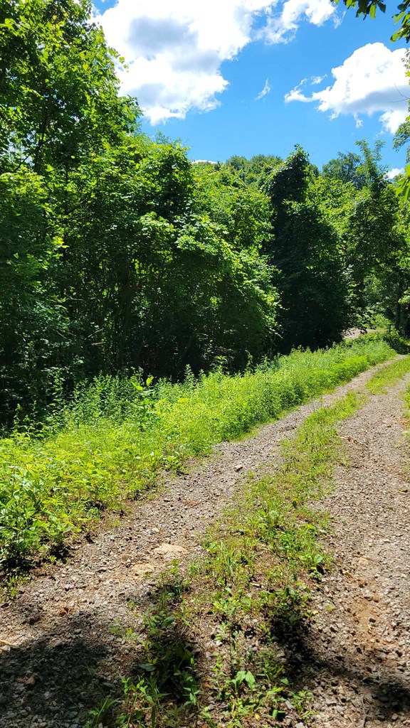 Lot 10 Hickory Ridge Property Photo 3