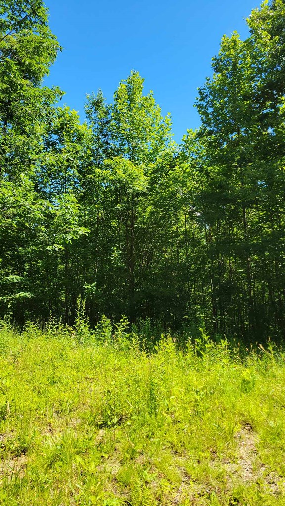 Lot 10 Hickory Ridge Property Photo 4