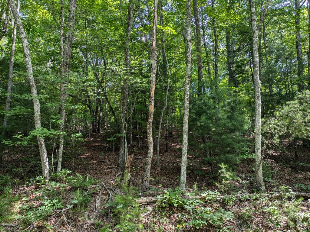 Lot 6 Horvath Rd Property Photo