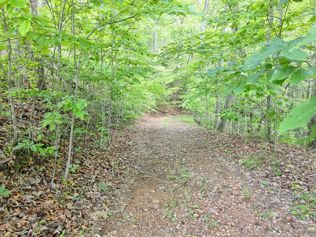 6.36 Bergan Moore Road Property Photo 20