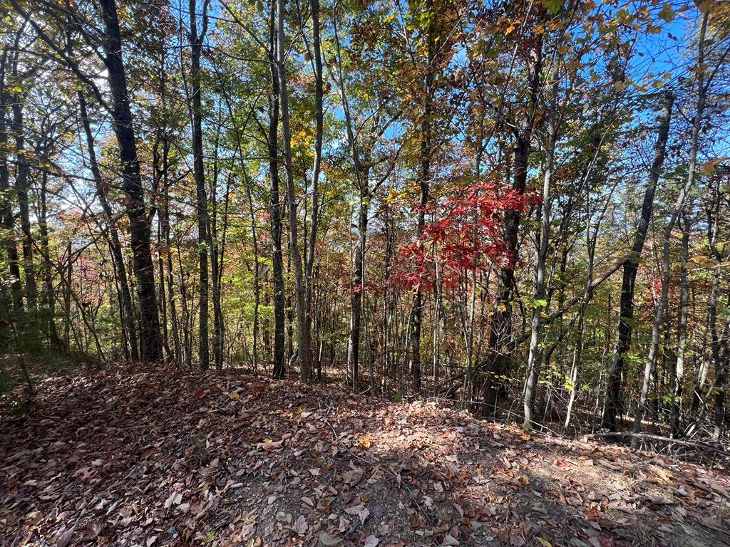 151523 Property Photo 1