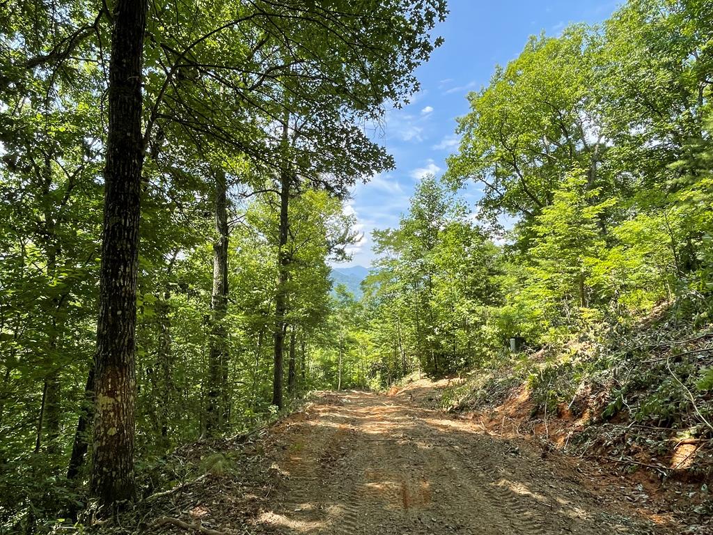 0 Upper Bell Creek Road Property Photo 1