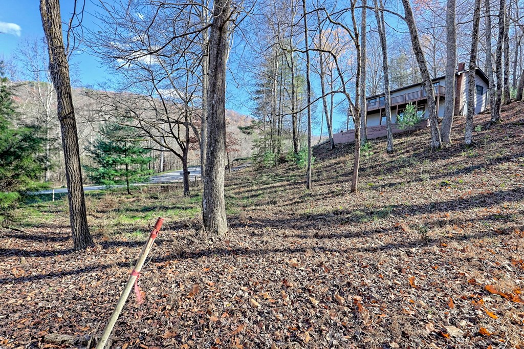 372 Peckerwood Rd Property Photo 34
