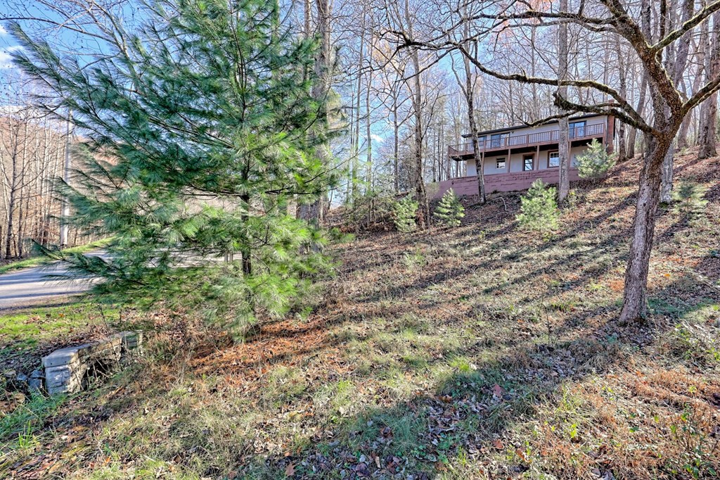 372 Peckerwood Rd Property Photo 35