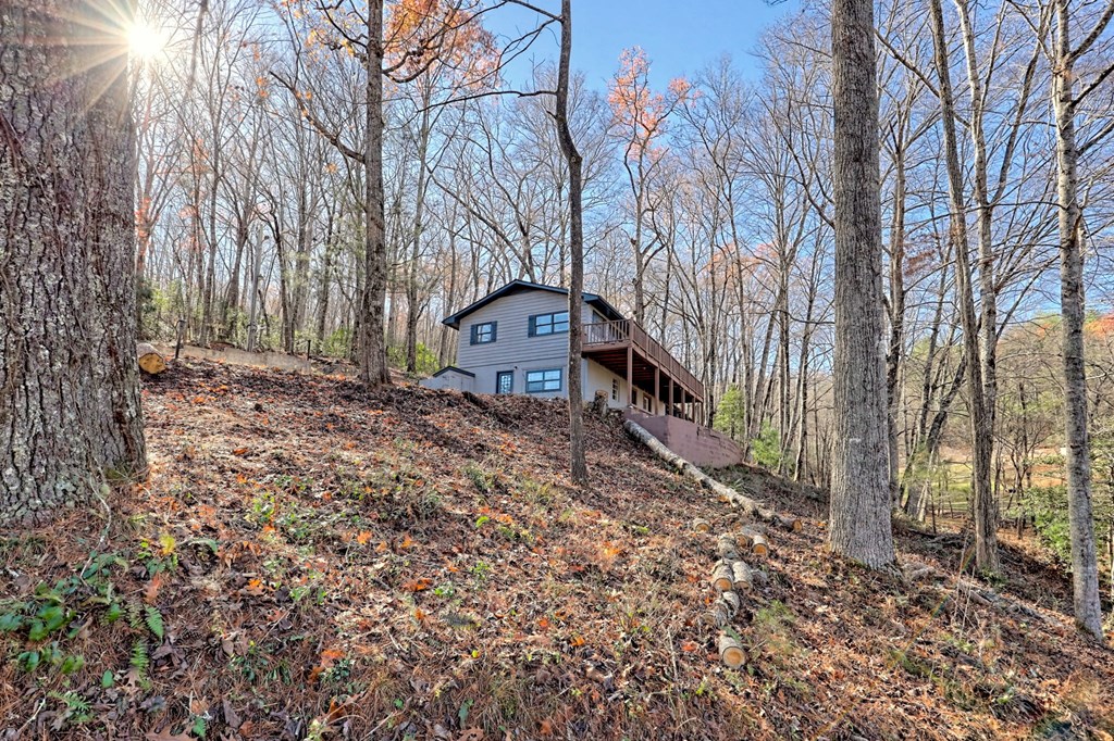 372 Peckerwood Rd Property Photo 38