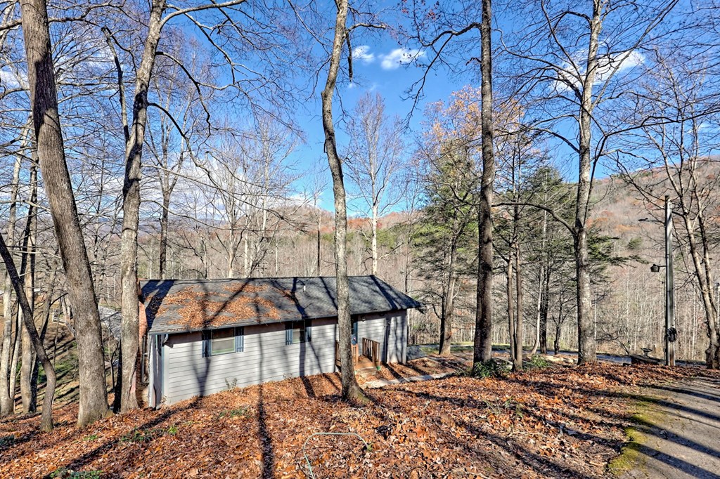 372 Peckerwood Rd Property Photo 43