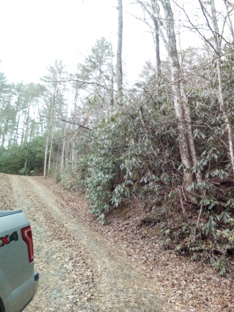 00 Davis Crossing Dr Property Photo 2