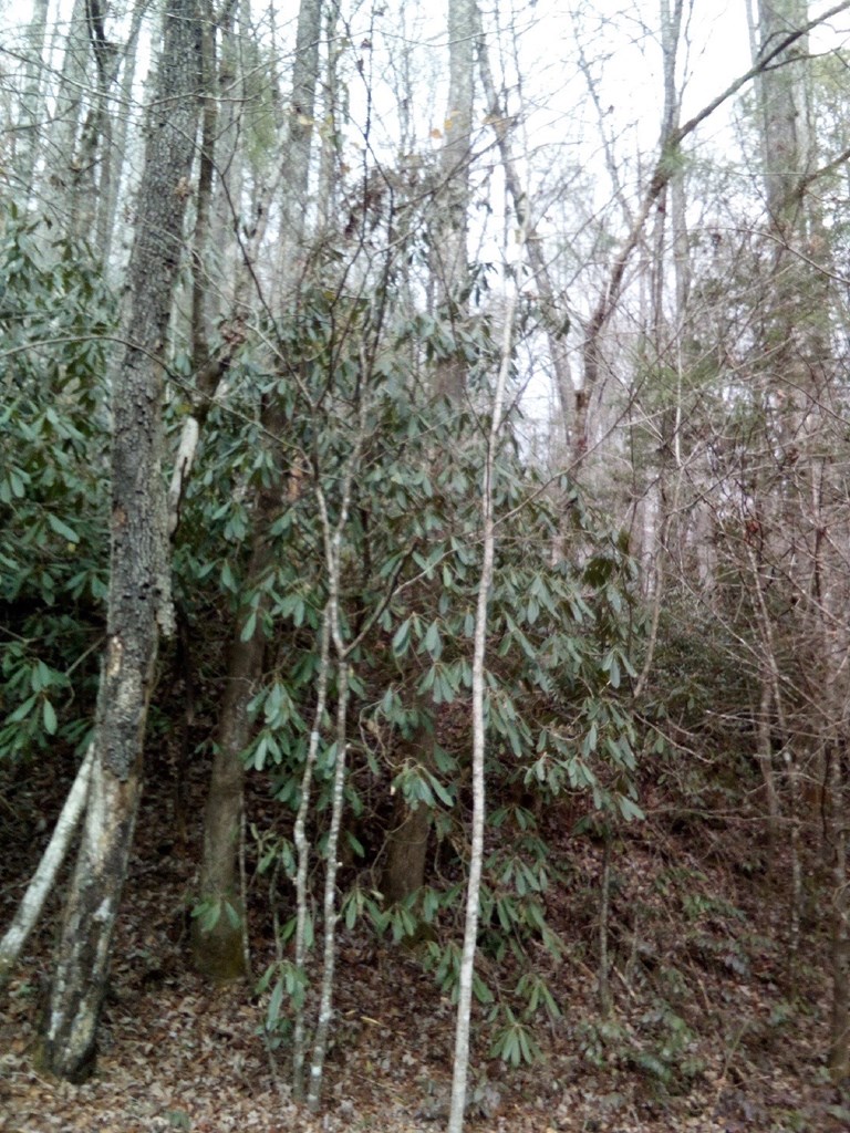 00 Davis Crossing Dr Property Photo 3