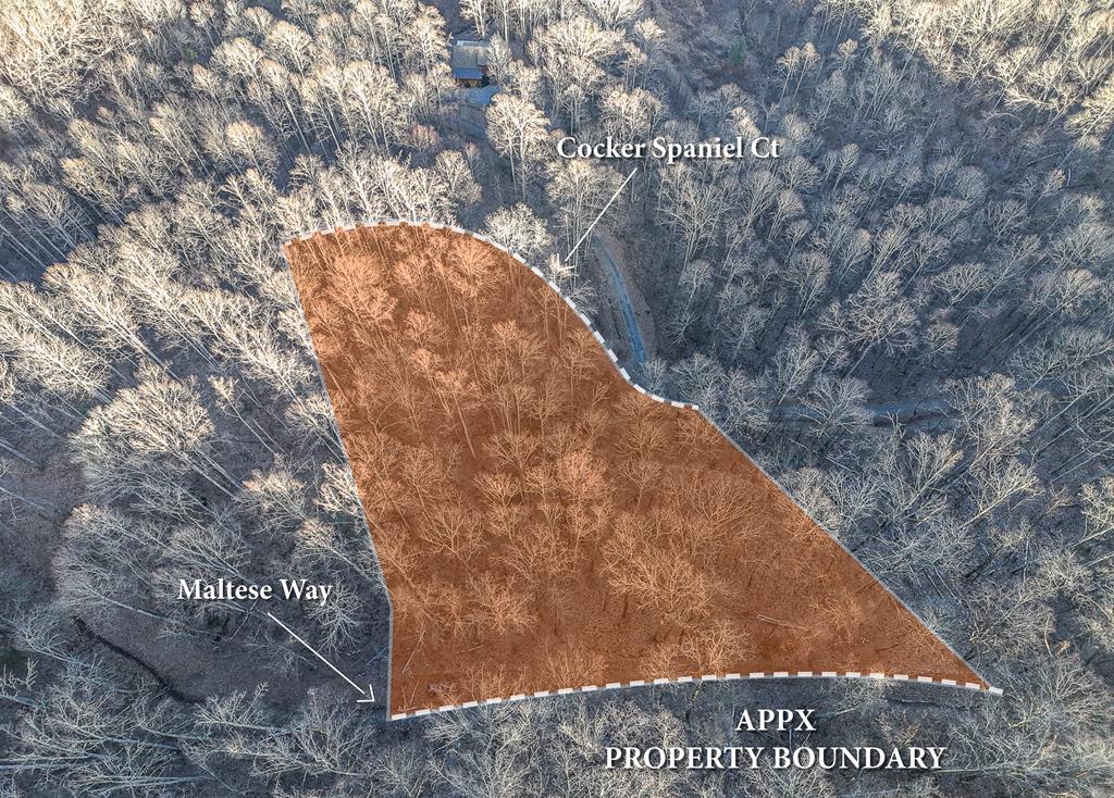 Barkers Creek Preserve Real Estate Listings Main Image
