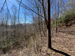 Lot 5 Sunset Vista Trail Property Photo