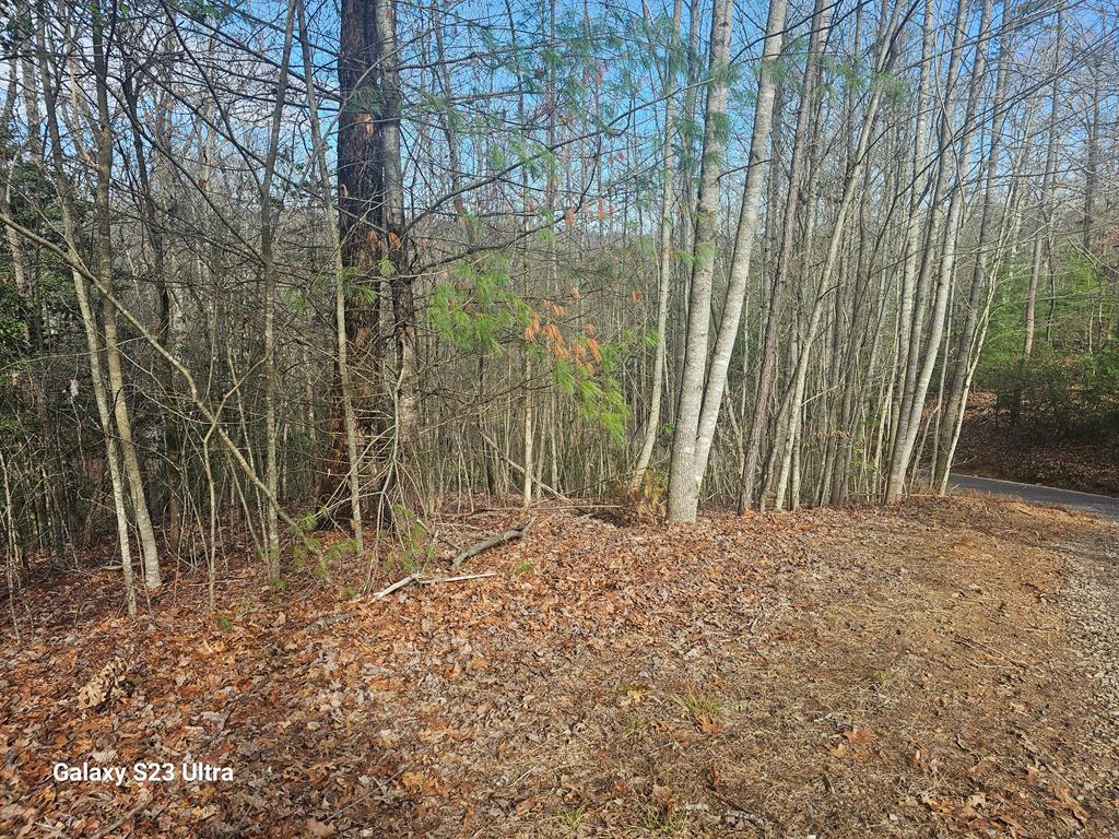 00 Antler Lane Property Photo