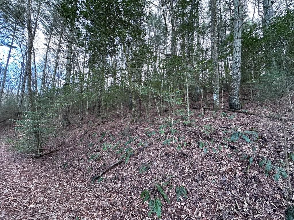 Lot 22 Appalachian Estates Property Photo