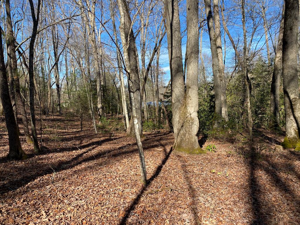 Tbd Collett Wood Cove Property Photo