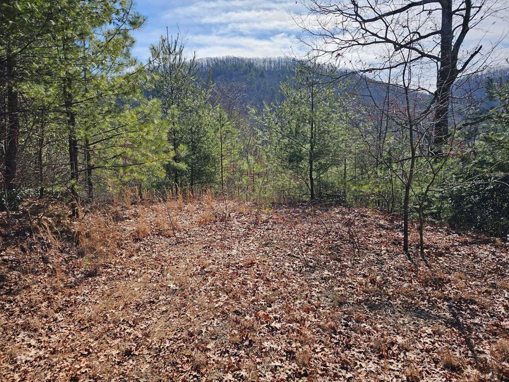 51 Kudzu Creek Trail Property Photo