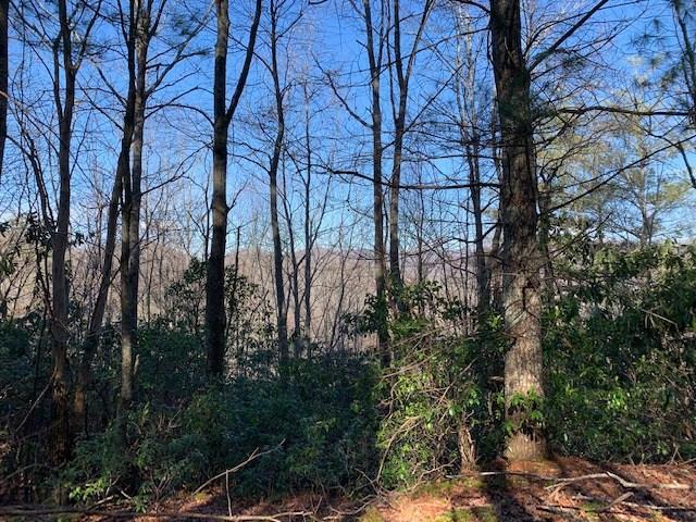 2 Lots Wayah Road Property Photo