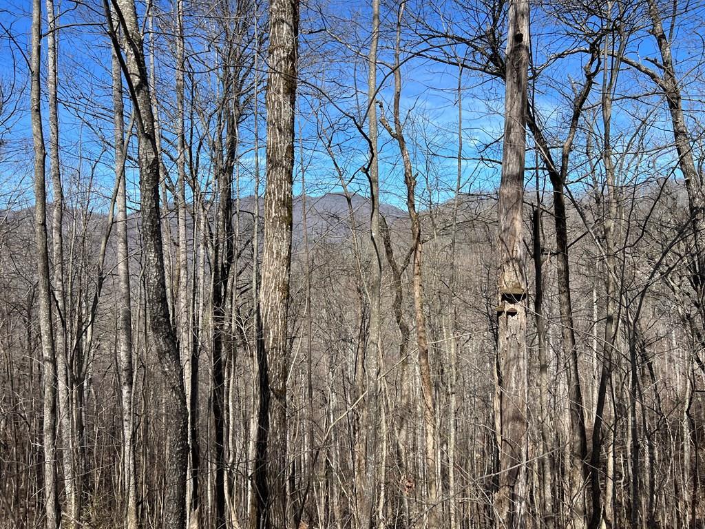 Lot 15 Bear Trail Property Photo