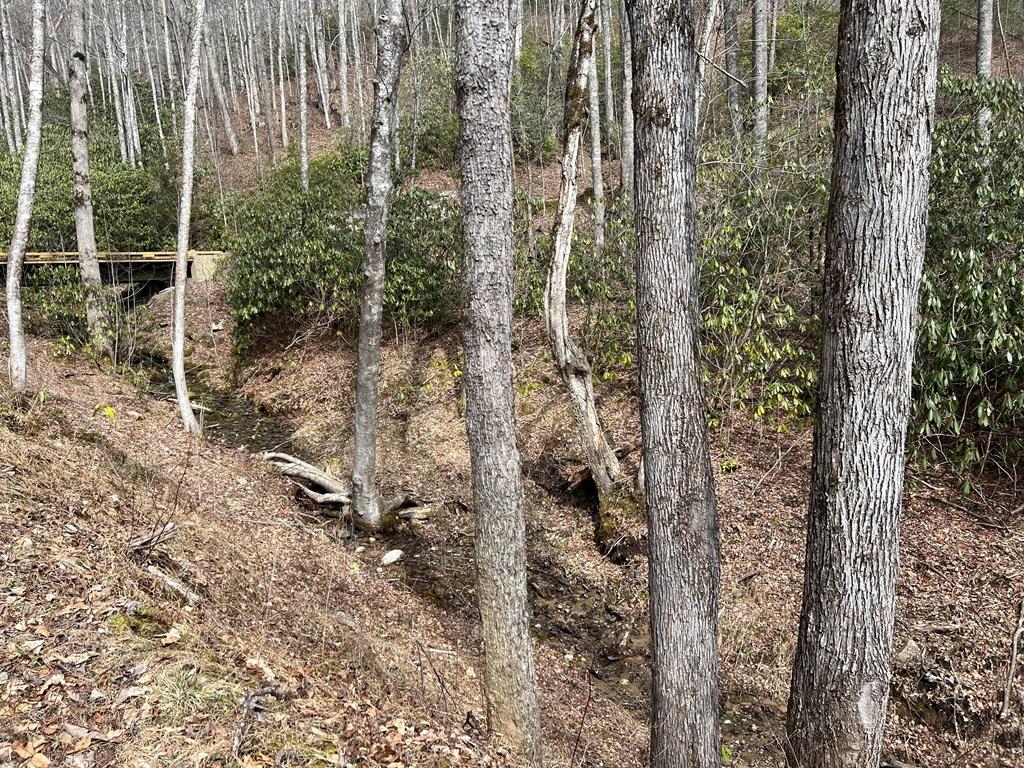 Lot 17 Black Bear Trail Property Photo