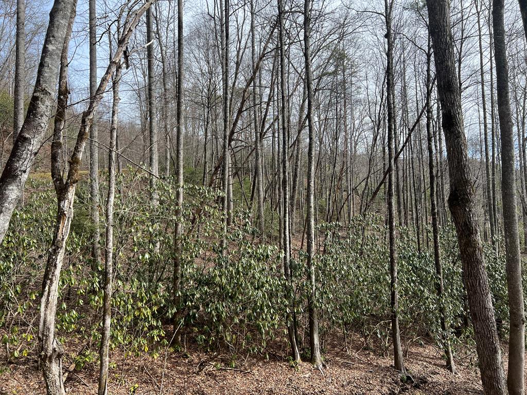 Lot 18 Black Bear Trail Property Photo