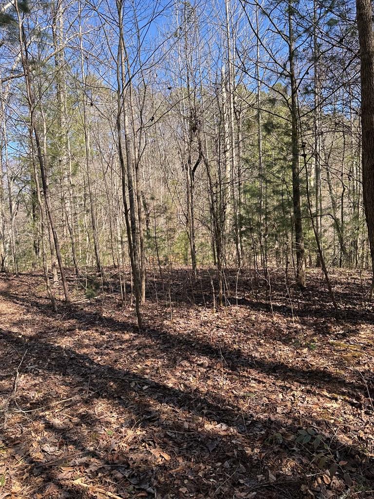 1.5 Acre Trail Road Property Photo