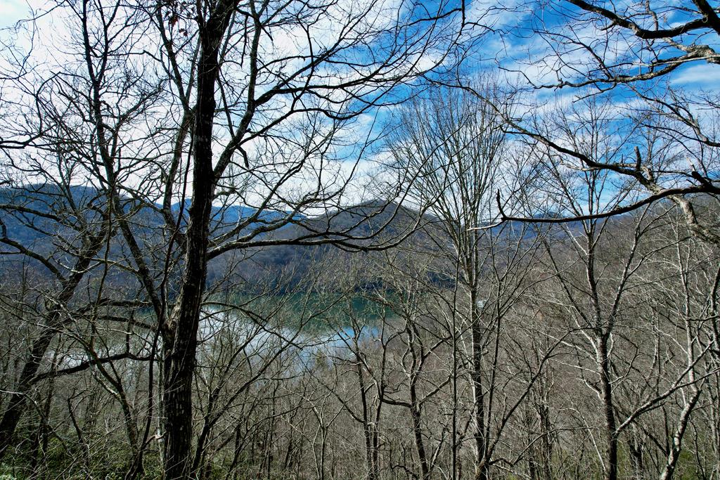 Lot 14 Holly Ridge Road Property Photo
