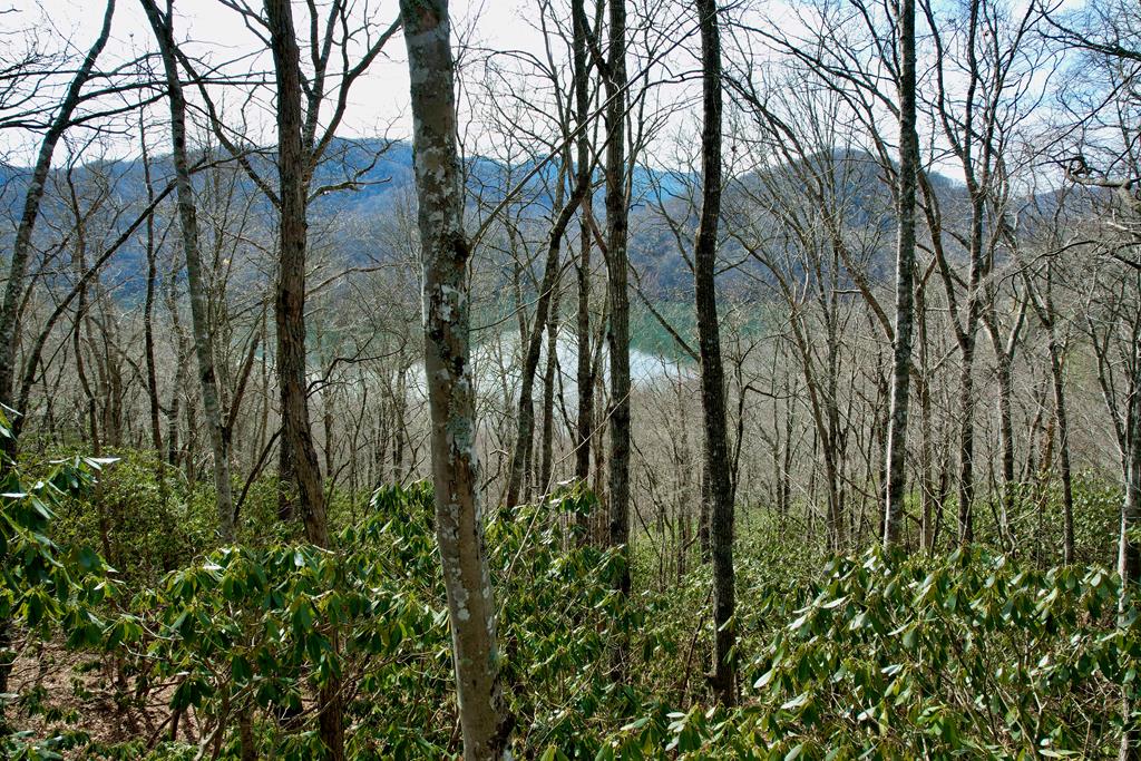 Lot 13 Holly Ridge Road Property Photo