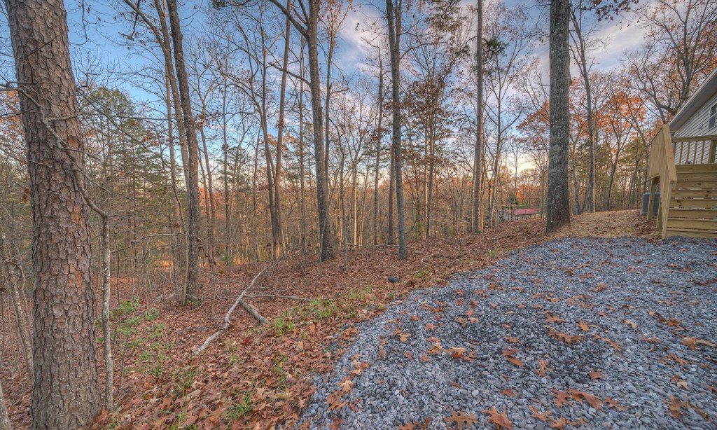 179 Fawn Ln Property Photo 11