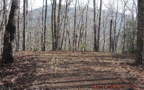 Lot 28 Mission Ridge Drive Property Photo