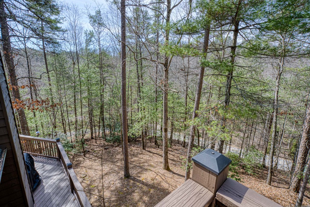 259 Degatide Drive Property Photo 19