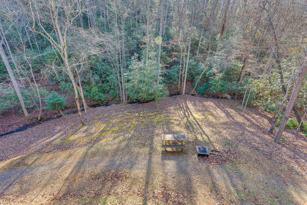 1101 Tarheel Dr Property Photo 37