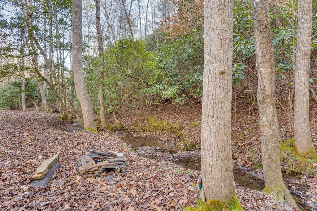 1101 Tarheel Dr Property Photo 39