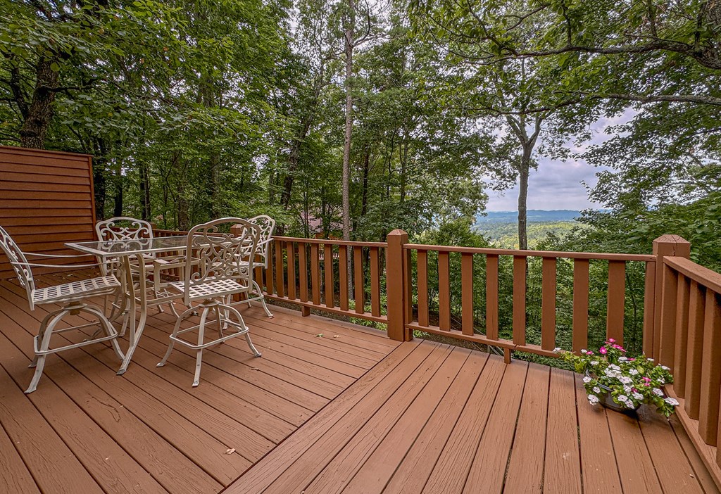 425 Boyd Ridge Drive Property Photo 25