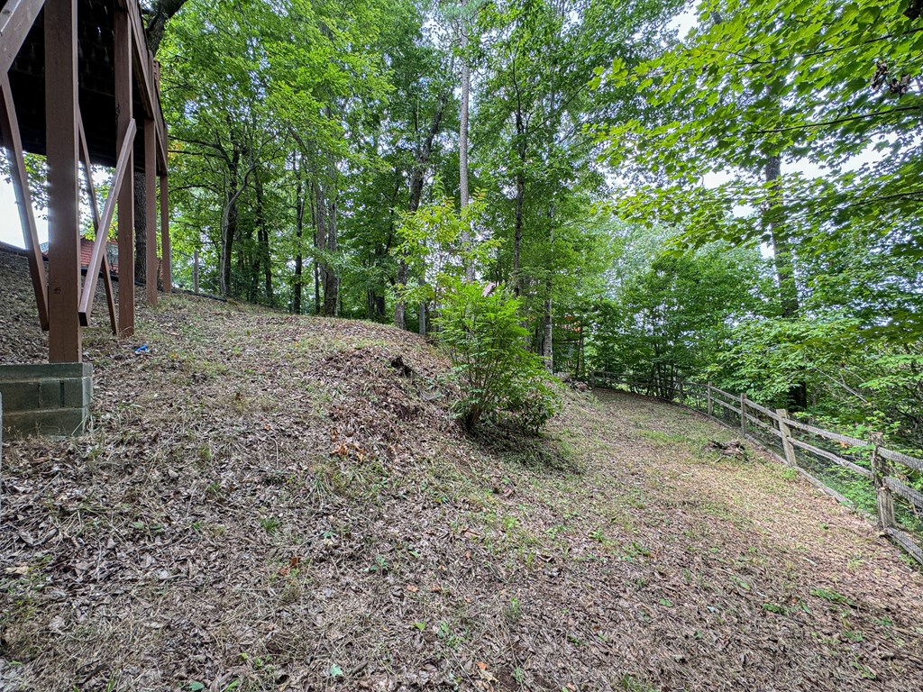 425 Boyd Ridge Drive Property Photo 34