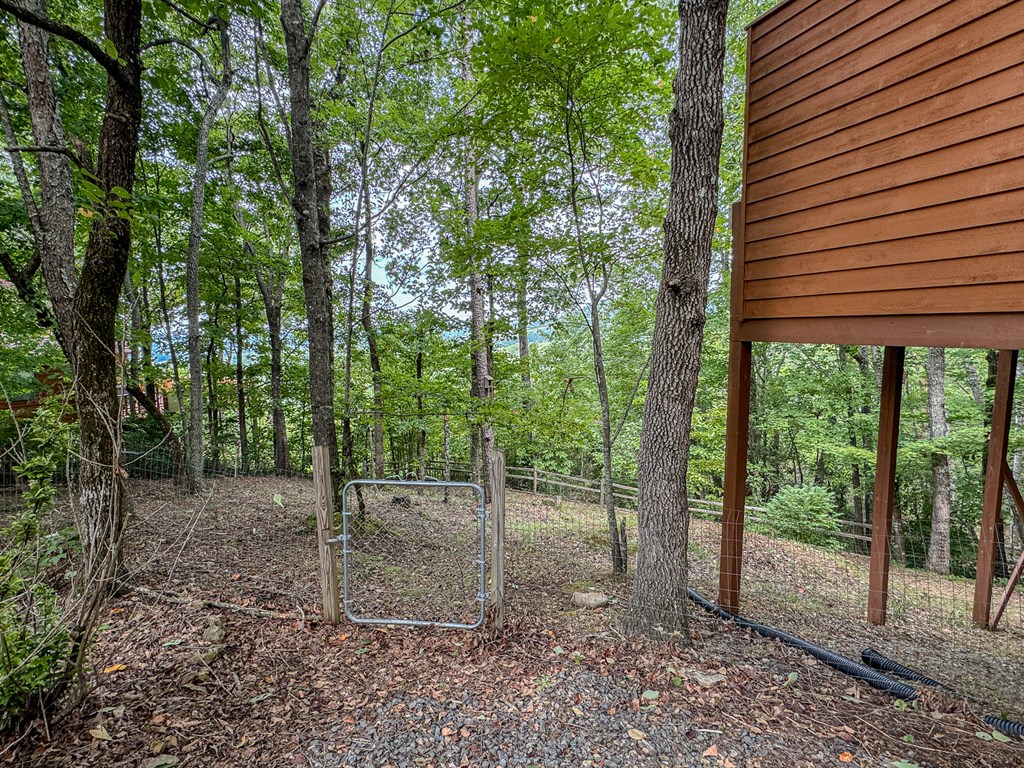425 Boyd Ridge Drive Property Photo 41