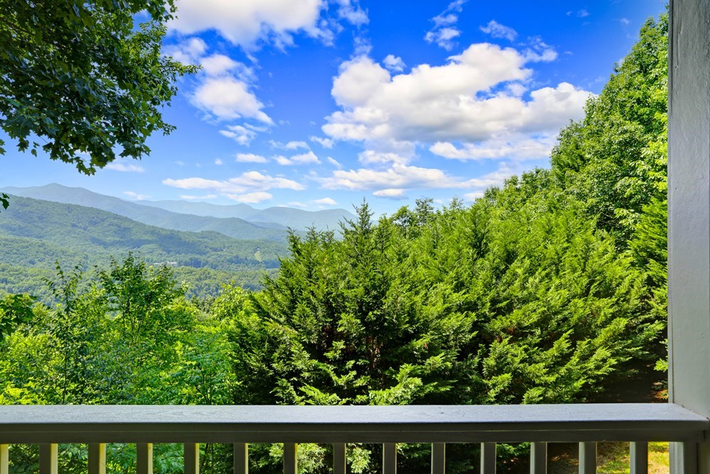 1292 Harris Ridge Road Property Photo 3