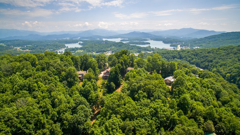 1292 Harris Ridge Road Property Photo 37