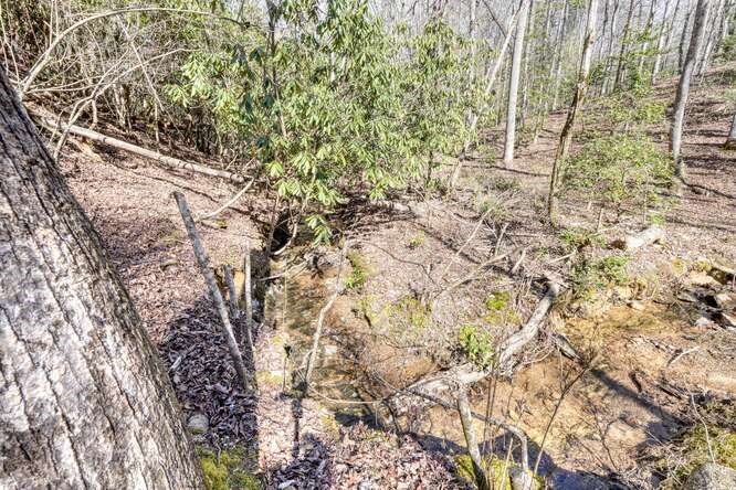 271 Kates Cove Road Property Photo 40