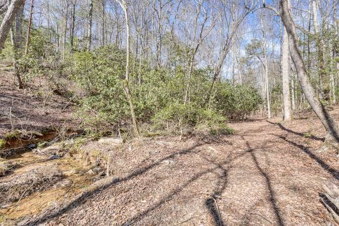 271 Kates Cove Road Property Photo 43