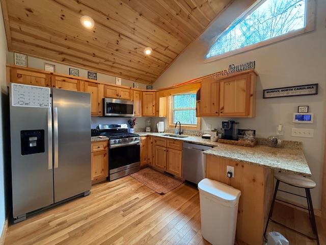 40 Lynae Lane Property Photo 6