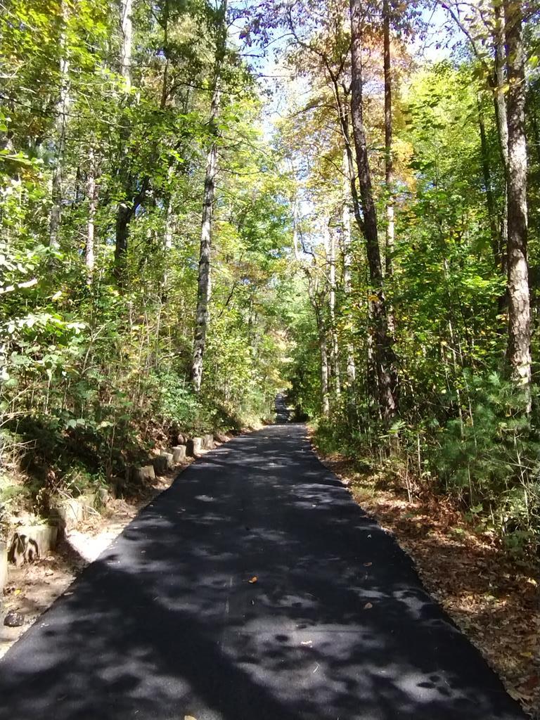 100 Fern Cove Lane Property Photo 27