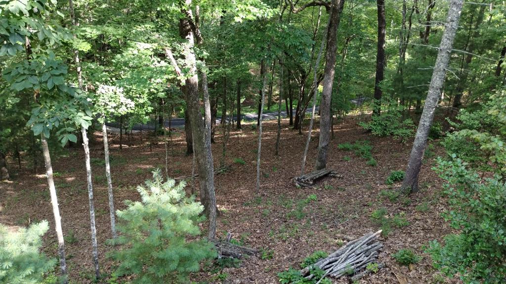 100 Fern Cove Lane Property Photo 32